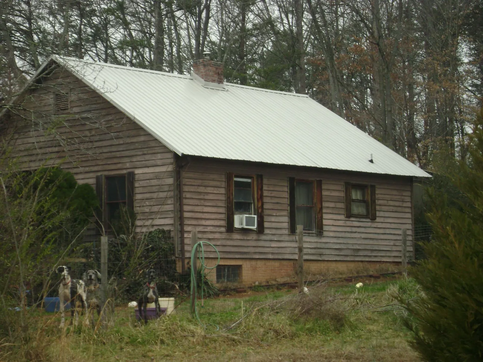 White metal roof on an old wood sided farmhouse, from a Asphalt Shingle Roof Repair job in Zion Grove